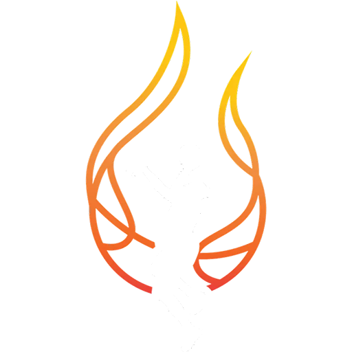 Townsville Fire badge