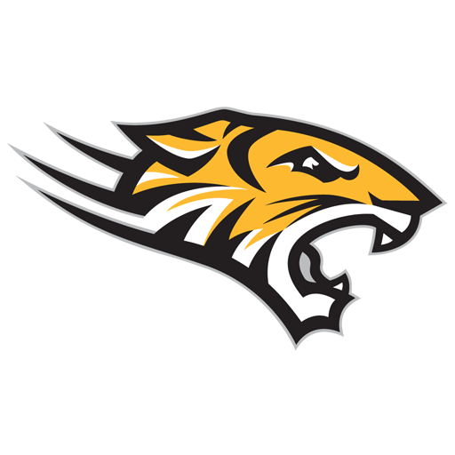 Towson badge