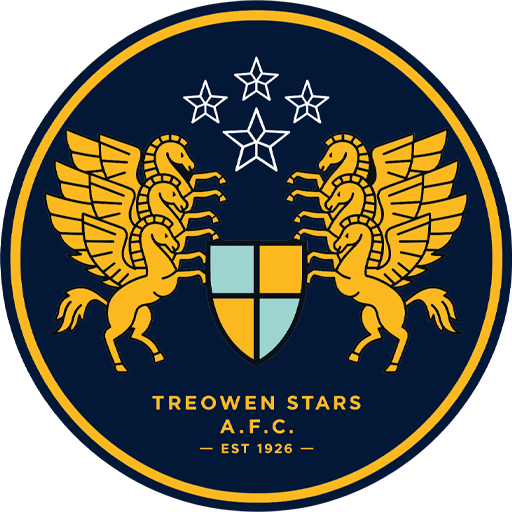 Treowen Stars badge