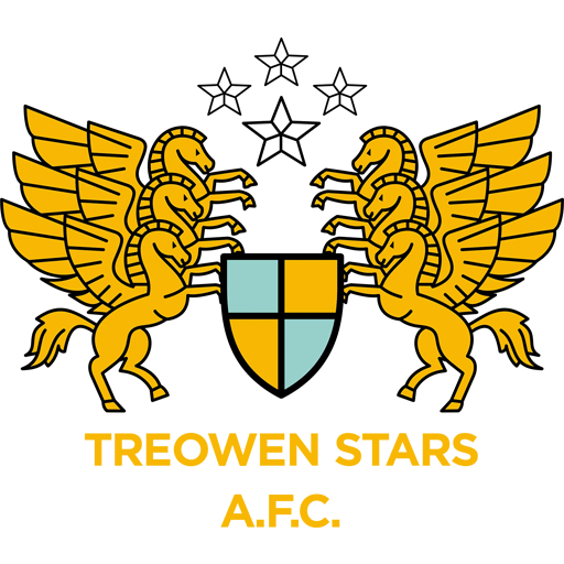 Treowen Stars badge