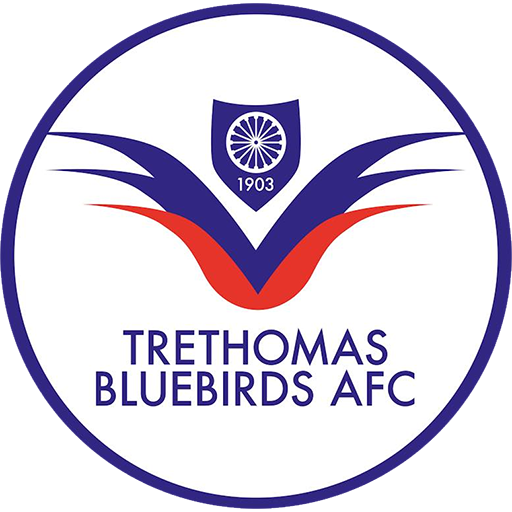 Trethomas Bluebirds badge
