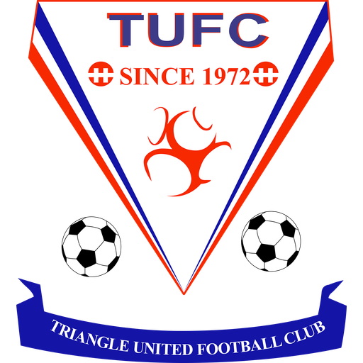 Triangle United badge