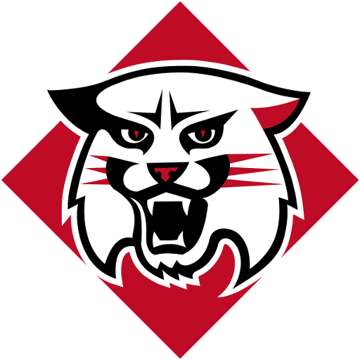 Tulane badge