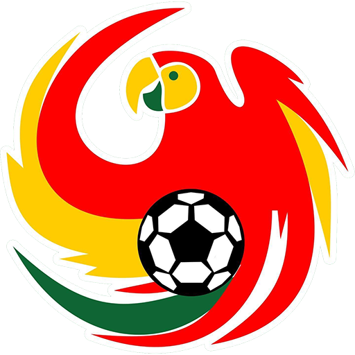 União São João de Araras badge