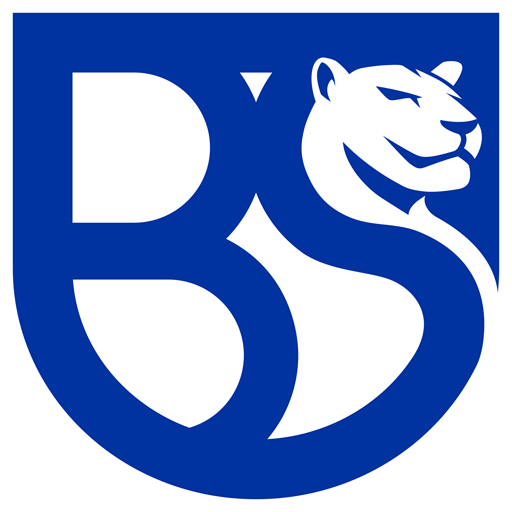 Union Brescia badge