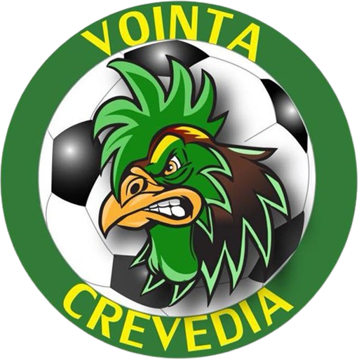 Voința Crevedia badge