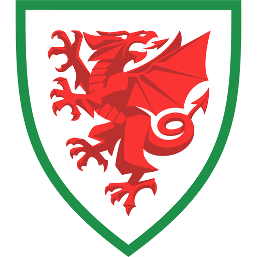 Wales U19 badge