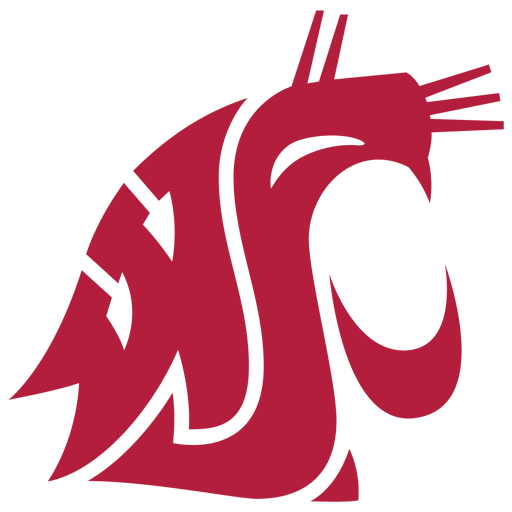 Washington State vs Washington badge left