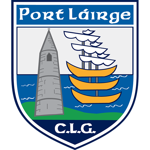 Waterford GAA Hurling badge