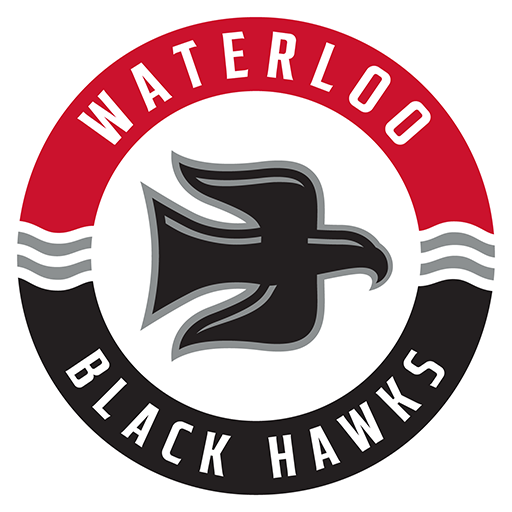Waterloo Black Hawks badge