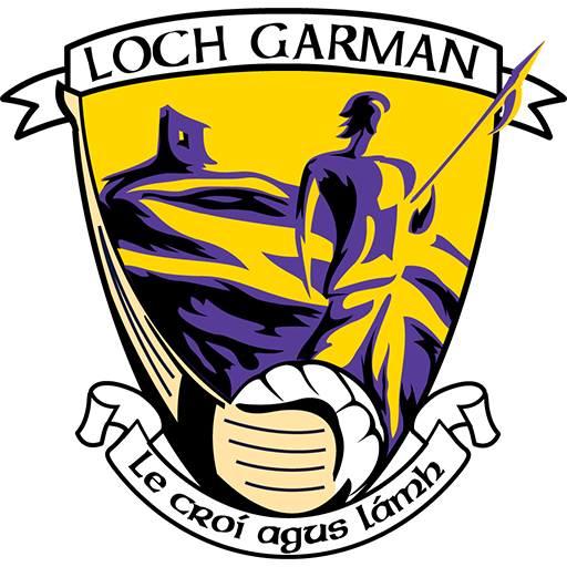 Wexford GAA Football badge