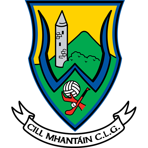 Wicklow GAA Hurling badge