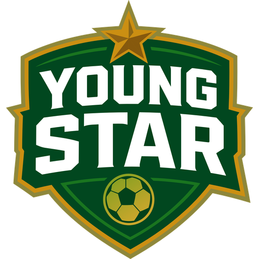 Young Star badge