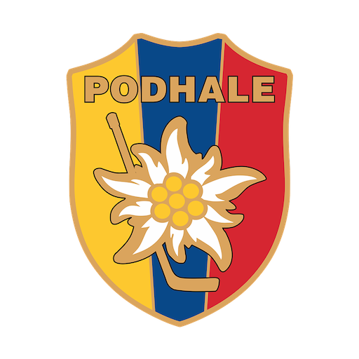 Zagłębie Sosnowiec badge