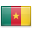 Flag of Cameroon
